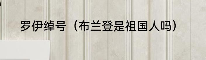 罗伊绰号（布兰登是祖国人吗）