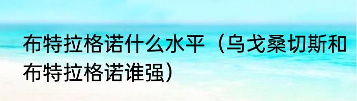 布特拉格诺什么水平（乌戈桑切斯和布特拉格诺谁强）