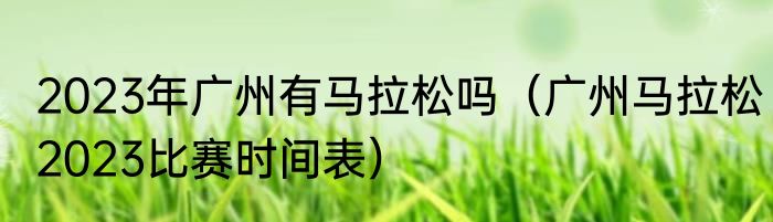 2023年广州有马拉松吗（广州马拉松2023比赛时间表）