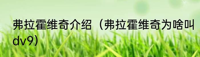 弗拉霍维奇介绍（弗拉霍维奇为啥叫dv9）