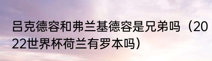 吕克德容和弗兰基德容是兄弟吗（2022世界杯荷兰有罗本吗）