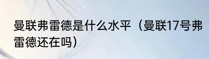 曼联弗雷德是什么水平（曼联17号弗雷德还在吗）