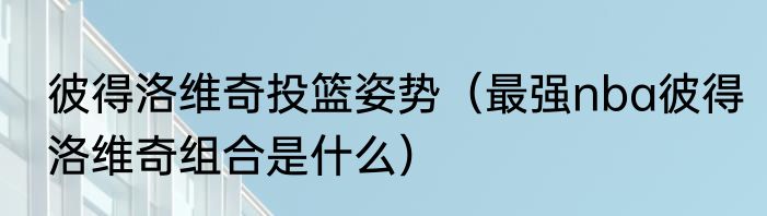 彼得洛维奇投篮姿势（最强nba彼得洛维奇组合是什么）