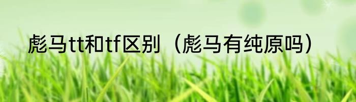 彪马tt和tf区别（彪马有纯原吗）