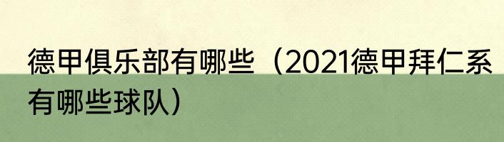 德甲俱乐部有哪些（2021德甲拜仁系有哪些球队）