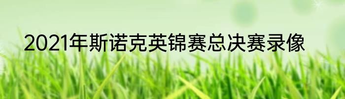 2021年斯诺克英锦赛总决赛录像