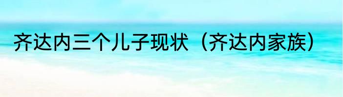 齐达内三个儿子现状（齐达内家族）