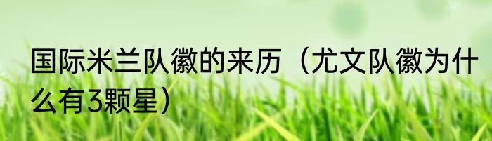 国际米兰队徽的来历（尤文队徽为什么有3颗星）