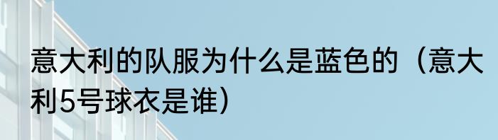 意大利的队服为什么是蓝色的（意大利5号球衣是谁）