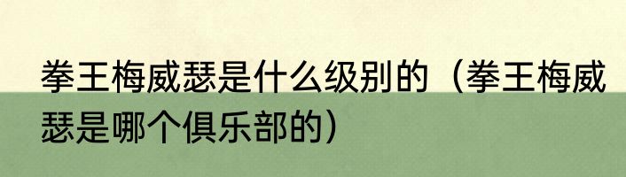 拳王梅威瑟是什么级别的（拳王梅威瑟是哪个俱乐部的）