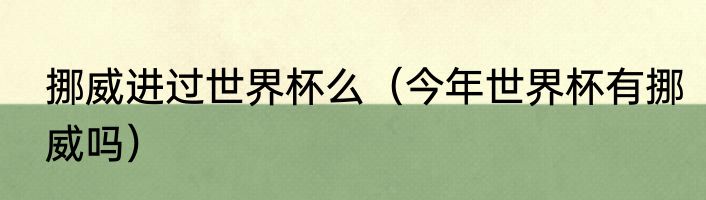 挪威进过世界杯么（今年世界杯有挪威吗）