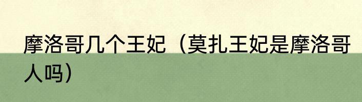 摩洛哥几个王妃（莫扎王妃是摩洛哥人吗）