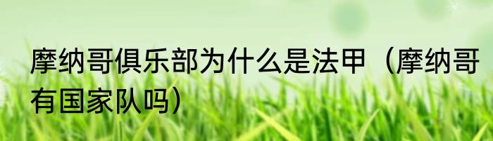 摩纳哥俱乐部为什么是法甲（摩纳哥有国家队吗）