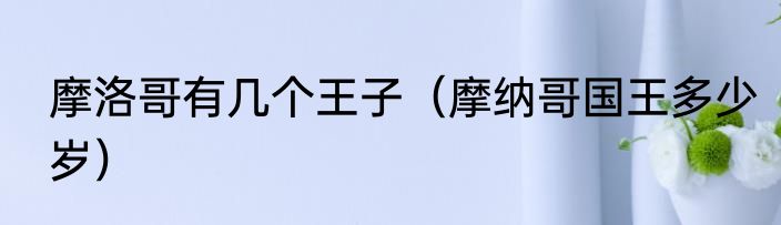 摩洛哥有几个王子（摩纳哥国王多少岁）