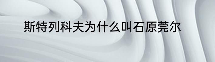 斯特列科夫为什么叫石原莞尔