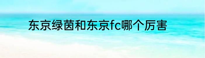 东京绿茵和东京fc哪个厉害