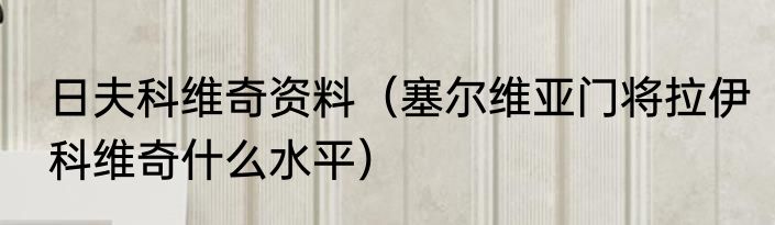 日夫科维奇资料（塞尔维亚门将拉伊科维奇什么水平）