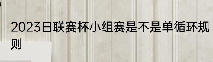 2023日联赛杯小组赛是不是单循环规则