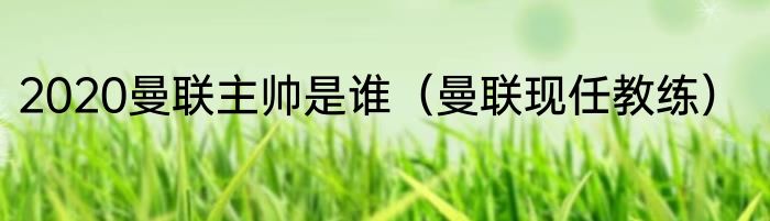 2020曼联主帅是谁（曼联现任教练）