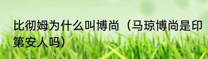 比彻姆为什么叫博尚（马琼博尚是印第安人吗）