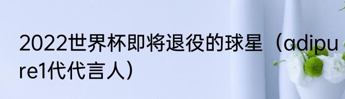 2022世界杯即将退役的球星（adipure1代代言人）