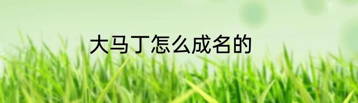 大马丁怎么成名的