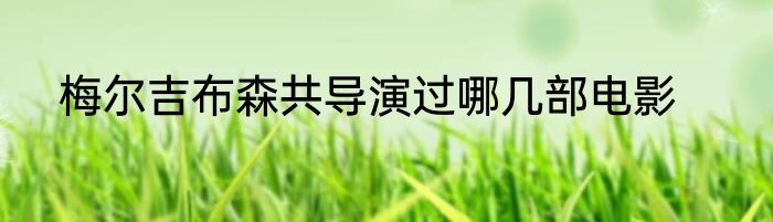 梅尔吉布森共导演过哪几部电影