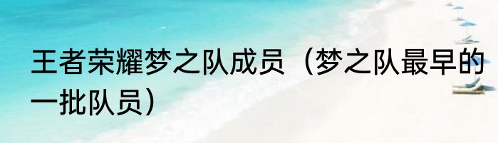 王者荣耀梦之队成员（梦之队最早的一批队员）