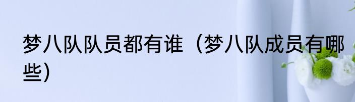 梦八队队员都有谁（梦八队成员有哪些）