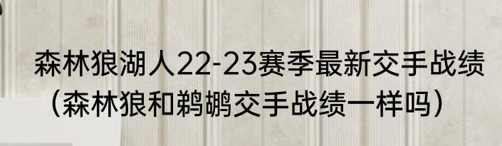 森林狼湖人22-23赛季最新交手战绩（森林狼和鹈鹕交手战绩一样吗）