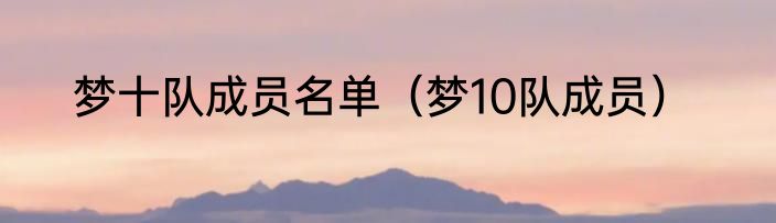 梦十队成员名单（梦10队成员）
