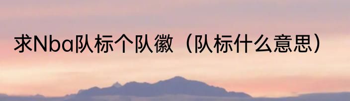 求Nba队标个队徽（队标什么意思）