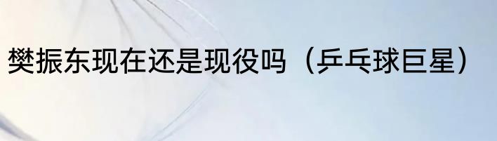 樊振东现在还是现役吗（乒乓球巨星）