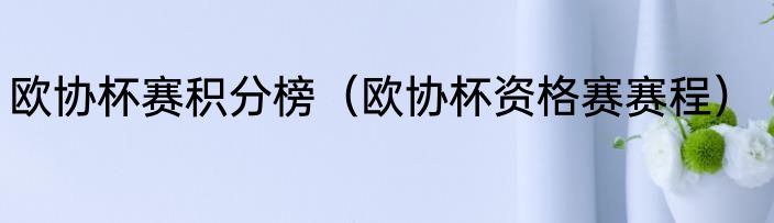 欧协杯赛积分榜（欧协杯资格赛赛程）