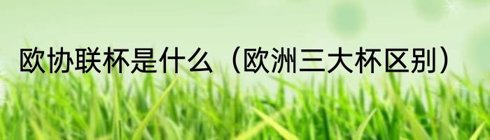 欧协联杯是什么（欧洲三大杯区别）