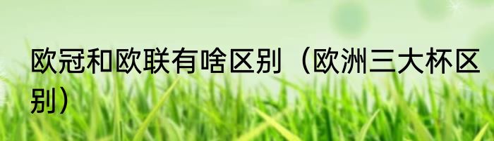 欧冠和欧联有啥区别（欧洲三大杯区别）