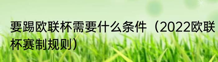 要踢欧联杯需要什么条件（2022欧联杯赛制规则）