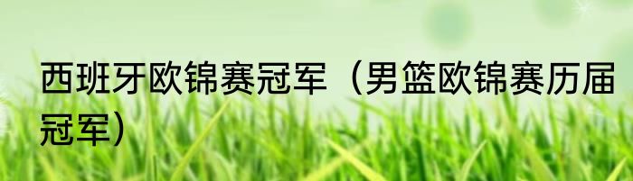 西班牙欧锦赛冠军（男篮欧锦赛历届冠军）