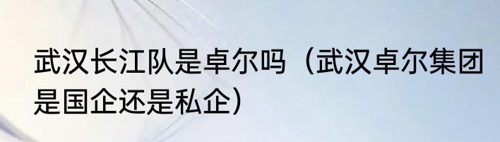 武汉长江队是卓尔吗（武汉卓尔集团是国企还是私企）