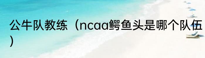 公牛队教练（ncaa鳄鱼头是哪个队伍）
