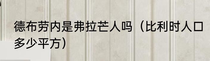 德布劳内是弗拉芒人吗（比利时人口多少平方）