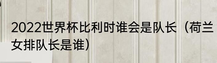 2022世界杯比利时谁会是队长（荷兰女排队长是谁）