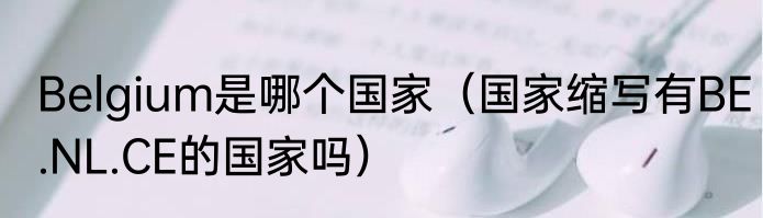 Belgium是哪个国家（国家缩写有BE.NL.CE的国家吗）