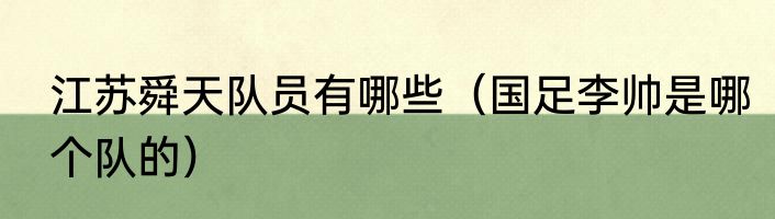 江苏舜天队员有哪些（国足李帅是哪个队的）