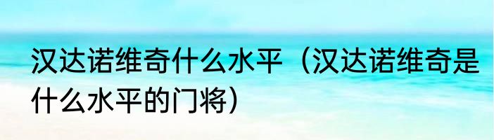 汉达诺维奇什么水平（汉达诺维奇是什么水平的门将）