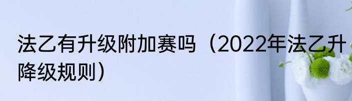 法乙有升级附加赛吗（2022年法乙升降级规则）