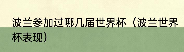 波兰参加过哪几届世界杯（波兰世界杯表现）