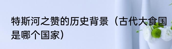 特斯河之赞的历史背景（古代大食国是哪个国家）