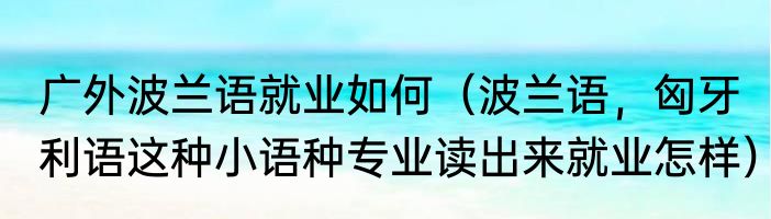 广外波兰语就业如何（波兰语，匈牙利语这种小语种专业读出来就业怎样）
