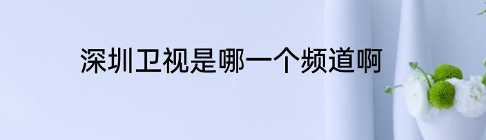 深圳卫视是哪一个频道啊